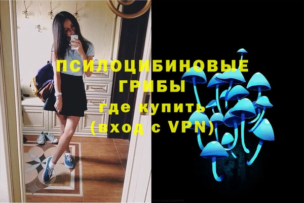 мескалин Алексин