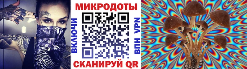 Галлюциногенные грибы Psilocybine cubensis  купить   Большой Камень 