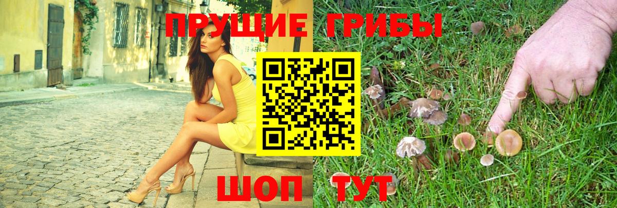 Псилоцибиновые грибы прущие грибы Большой Камень