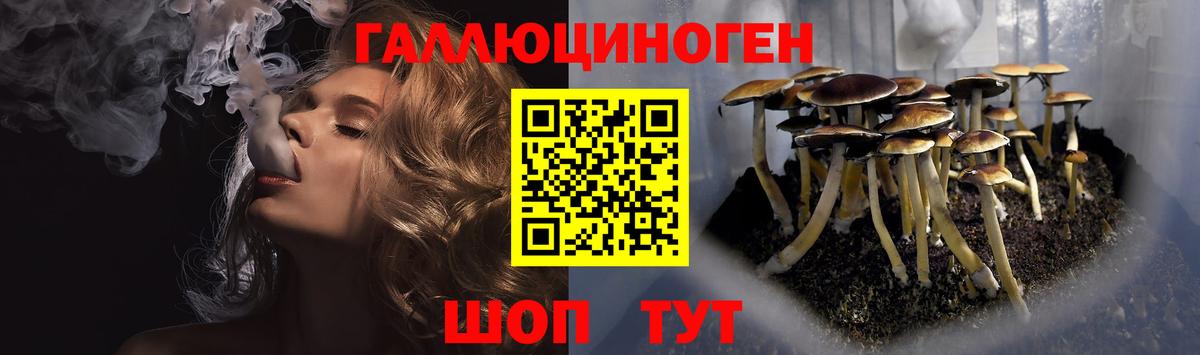 Галлюциногенные грибы Cubensis  Вход с VPN  Большой Камень 